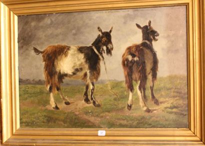 École du XIXe siècle Deux chèvres
Huile sur panneau.
37 x 55 cm