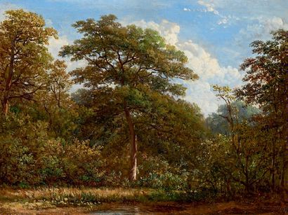 Victor de GRAILLY (1804-1889) Clairière en forêt
Huile sur papier marouflé sur toile.
24,5...