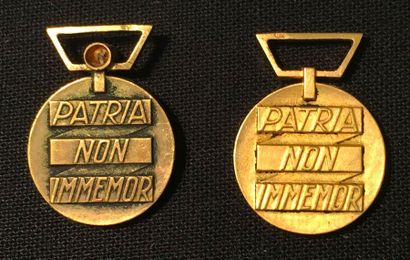 null Médaille de la Résistance, deux miniatures en or, l'une patinée, la bélière...