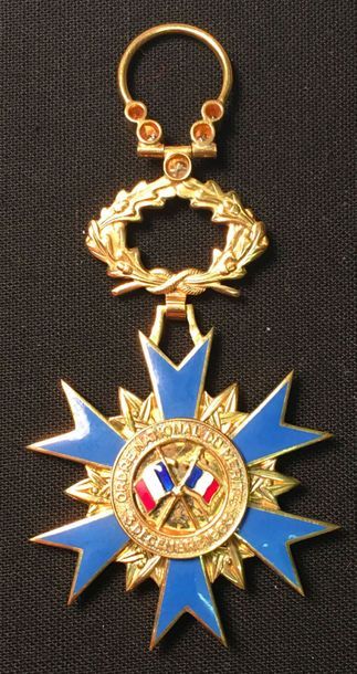 null Ordre national du Mérite, étoile d'officier, modèle de joaillerie en or émaillé...