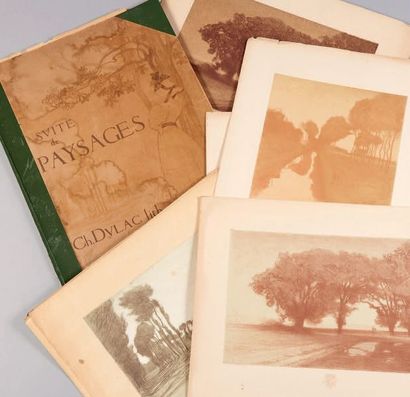 Charles-Marie DULAC Suite de paysages
Suite complète de huit planches, 1893, lithographie...