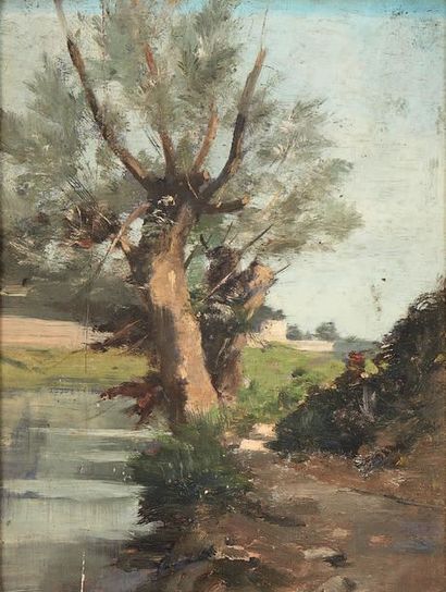 René BILLOTTE (1846-1914) Grands arbres en bord de rivière
Huile sur panneau.
27...