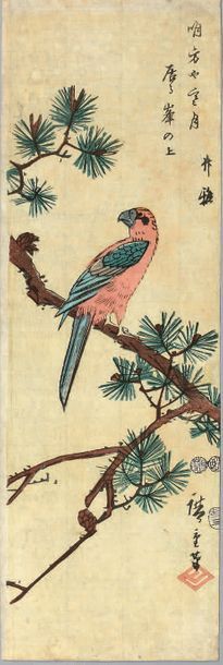 Utagawa Hiroshige (1797-1858) Ai-tanzaku tate-e, ara sur une branche de pin.
Signé...