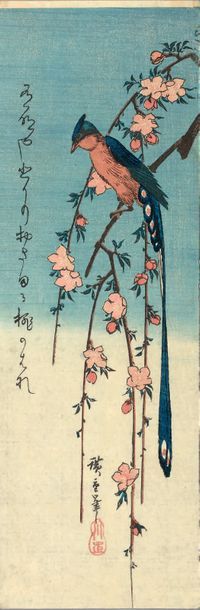 Utagawa Hiroshige (1797-1858) Chu-tanzaku tate-e, oiseau à longue queue sur une branche...