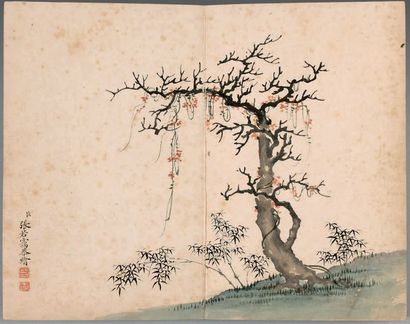 CHINE - XVIIIe siècle Album de huit peintures, encre et couleurs sur papier, représentant...