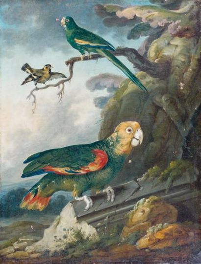 Atelier de Jean-Jacques BACHELIER (1724-1806) Perroquet et oiseaux Huile sur toile....