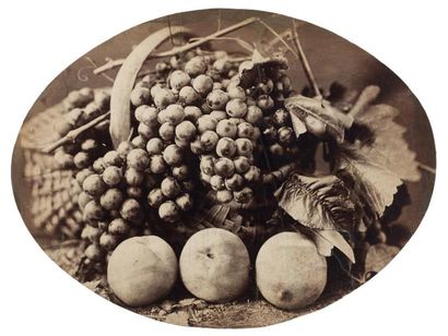 Eugène CHAUVIGNÉ (1837-après 1894) Nature morte aux fruits, circa 1875, tirage albuminé...