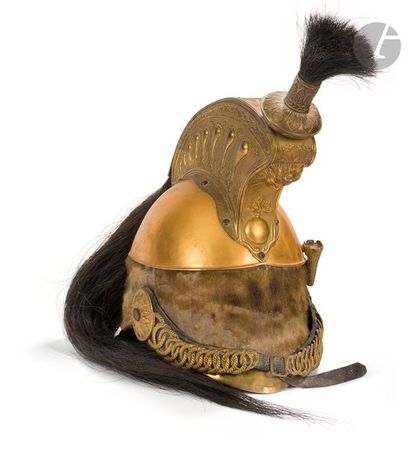 null Dragon officer's helmet model 1858
, brass bomb (blows), crest, striated ring...