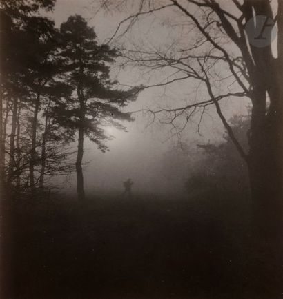 null Josef Sudek (1896-1976)
La forêt de Mionsi dans la brume, c. 1960.
Épreuve argentique...