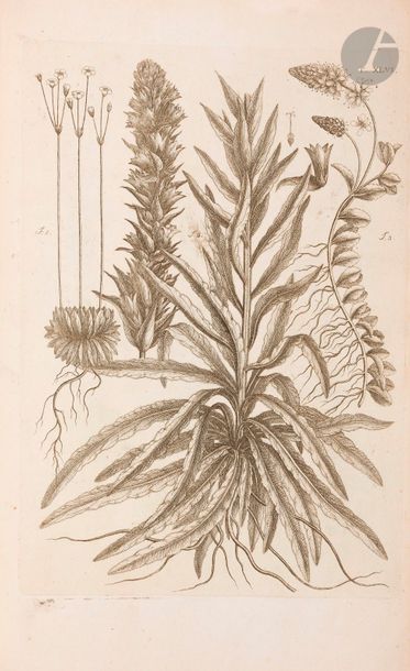 null ALLIONI (Carlo).
Flora pedemontana, sive Enumeratio methodica stirpium indigenarum...