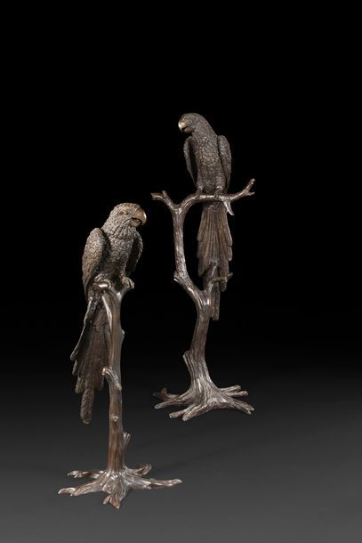 null Deux figures de perroquets en bronze à patine brune, juchés sur des troncs d’arbre...