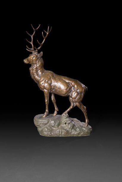 null Clovis-Edmond MASSON (1838-1913)
Cerf
Bronze à patine brun clair.
Signé et porte...