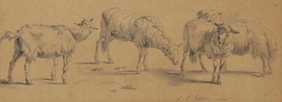 null Jean-Baptiste HUET (1745-1811)
Études de mouton
3 crayons noirs et lavis gris.
9,5 x 24,5 cm...