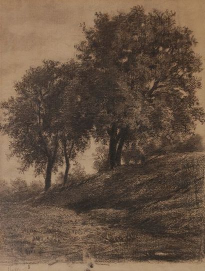 null Maxime LALANNE (1827-1886)
5 paysages
Fusain.
Dimensions diverses.