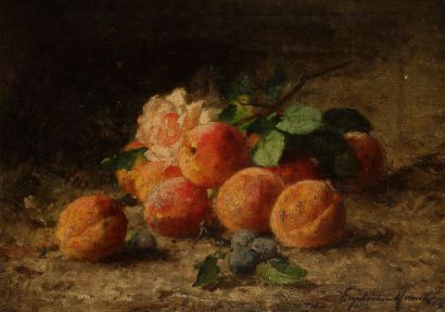 null Euphémie MURATON (Beaugency 1836-1914)
Abricots
Sur sa toile d’origine.
Signée...