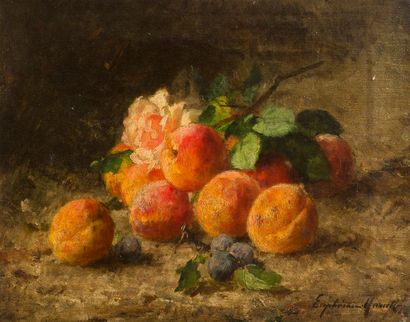 null Euphémie MURATON (Beaugency 1836-1914)
Abricots
Sur sa toile d’origine.
Signée...