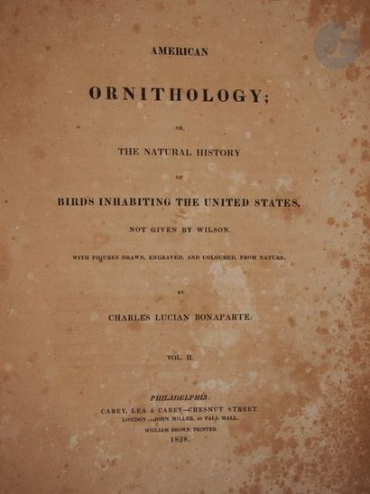 null BONAPARTE (Charles Lucien).
American ornithology ; or, the natural history of...