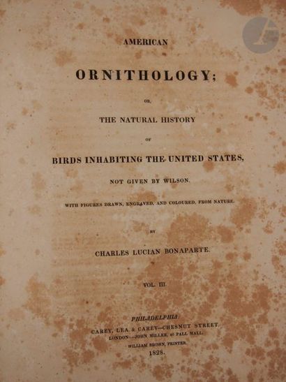 null BONAPARTE (Charles Lucien).
 American ornithology; or, the natural history of...