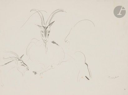 null Joseph HECHT (1891-1951)
Études de bouquetins, vers 1930
Dessin à la mine de...