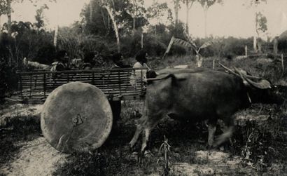 null Paul Gastaldy
Vietnam, c. 1925.
Village malais. Artisans. Charrette à buffles....