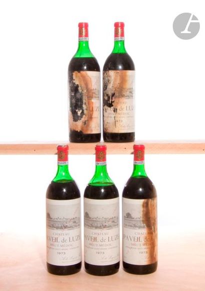 null 5 Mag CHÂTEAU PAVEIL DE LUZE (2 H.E.+ ; 1 H.E; 2 e.l.s; 3 e.q.i. ; c.s.), Haut-Médoc,...