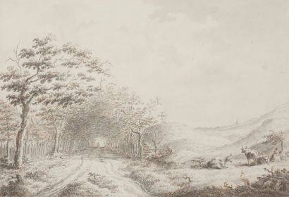 null École du NORD du XVIIIe siècle

Paysage avec une allée d'arbres

Plume, encre...