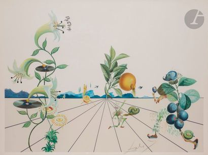 null Salvador DALÍ (1904-1989)
Flordali I, 1981
Lithographie et gaufrage en couleurs.
Épreuve...