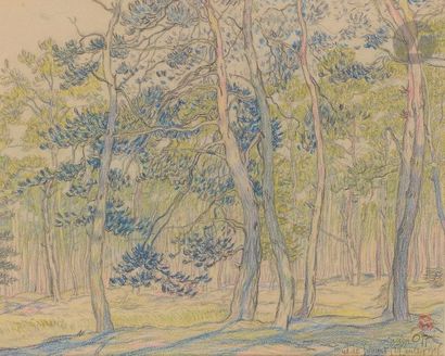 null Lucien OTT (1870-1927)
Forêt de Senart, 1906
Crayon de couleurs.
Signé, daté...