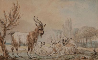 null DUCHATEAU (actif au XVIIIe siècle)
Paysage aux moutons et chèvres
Aquarelle,...