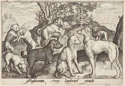Nicolaes de Bruÿn (1571-1656) Planche pour Effigies Animalium quadrupedum... 1594....