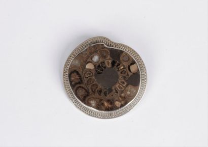 null Broche en argent, ornée d’une ammonite fossile. Hauteur : 4,8 cm environ