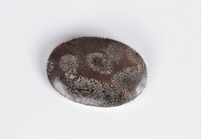 null Broche en métal argenté de forme ovale, sertie de palmier fossile. Longueur...