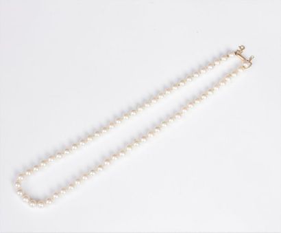 null Collier de perles de culture, fermoir en or 18K (750). Poids brut : 29,5 g