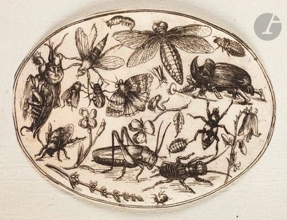 null Joris Hoefnaegel (1542-1600) (attribué à) 

Neues Frucht: und Blummenbüchlein...