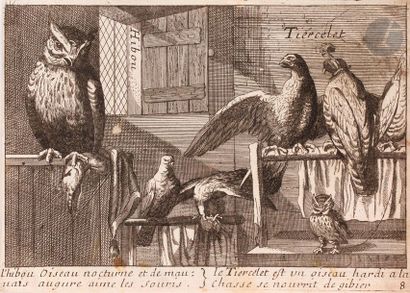 null François Jollain l’Aîné (1641-1704) 

Nouveau Livre d’Oiseaux Dessignez au Naturel....