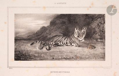 null Antoine-Louis Barye (1795-1875) 

Étude de tigre. 1832. Lithographie. 165 x 84....