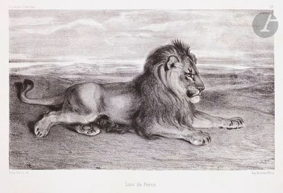 null Antoine-Louis Barye (1795-1875) 

Lion de Perse. 1832. Lithographie. 227 x 137....
