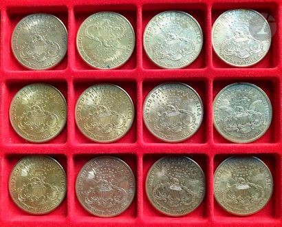 null 12 gold $20 coins. Liberty type. 

1878 S - 1900 S - 1901 S - 1902 S - 1903...