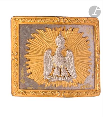 null Imperial Guard senior officer's belt tray.

In gilt brass, with a rocaille frame,...