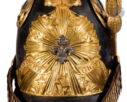 null King's House Light Horse Helmet, model 1814.

Black leather bomb and visor....