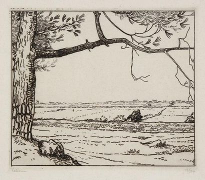 JEAN-ÉMILE LABOUREUR (1877-1943) La Branche de pin (Noirmoutier). 1911. Eau-forte...