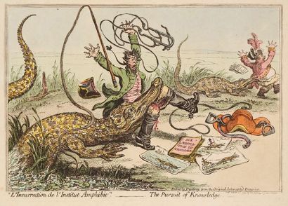 James Gillray (1757-1815) L'Insurrection de l'Institut Amphibie - The Pursuit of...