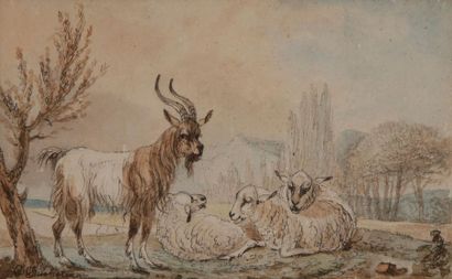 null DUCHATEAU (active in the 18th century
)Landscape with sheep
and goatsWatercolour

,...