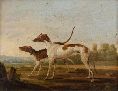 null 19th century ENGLISH schoolHunting dogsPair
of


canvases

.


21 x 27 cm e...