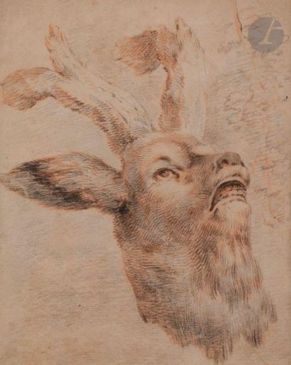 null 18th century FRENCH SCHOOLStudy of
bramant deer headSanguine
and black stone.
(Slightly...