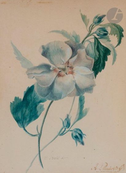 null Jan Van DAEL (Anvers 1764 - Paris 1840
)Study of roses with three budsWatercolour
on...
