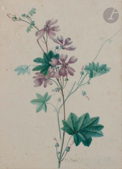 null Jan Van DAEL (Anvers 1764 - Paris 1840
)Study of roses with three budsWatercolour
on...