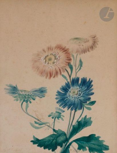 null Jan Van DAEL (Anvers 1764 - Paris 1840
)Study of roses with three budsWatercolour
on...