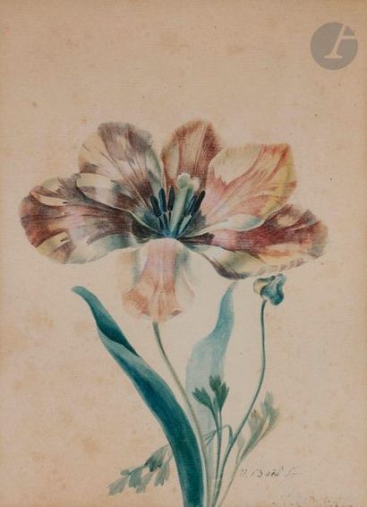 null Jan Van DAEL (Anvers 1764 - Paris 1840)
Étude de roses avec trois bourgeons
Aquarelle...