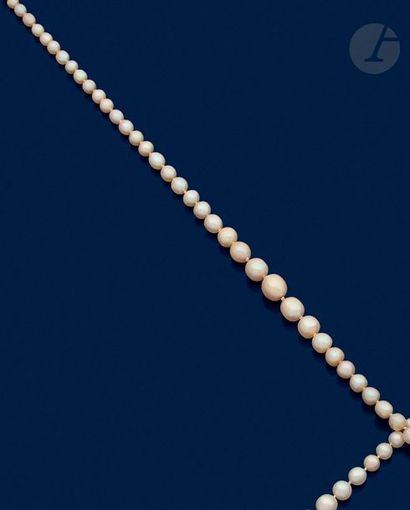 null Collier de 79 perles fines en chute, fermoir en platine serti d’une perle et...